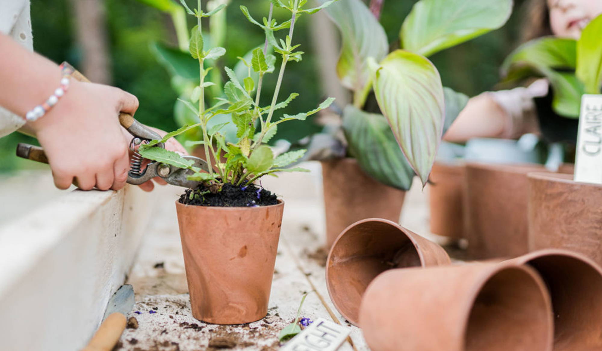 Person putting plants in Cache Pot Planters