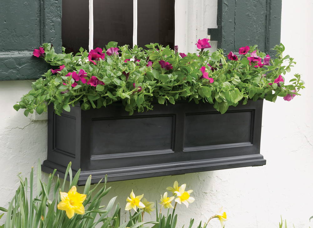 Flowers in a black window planter box