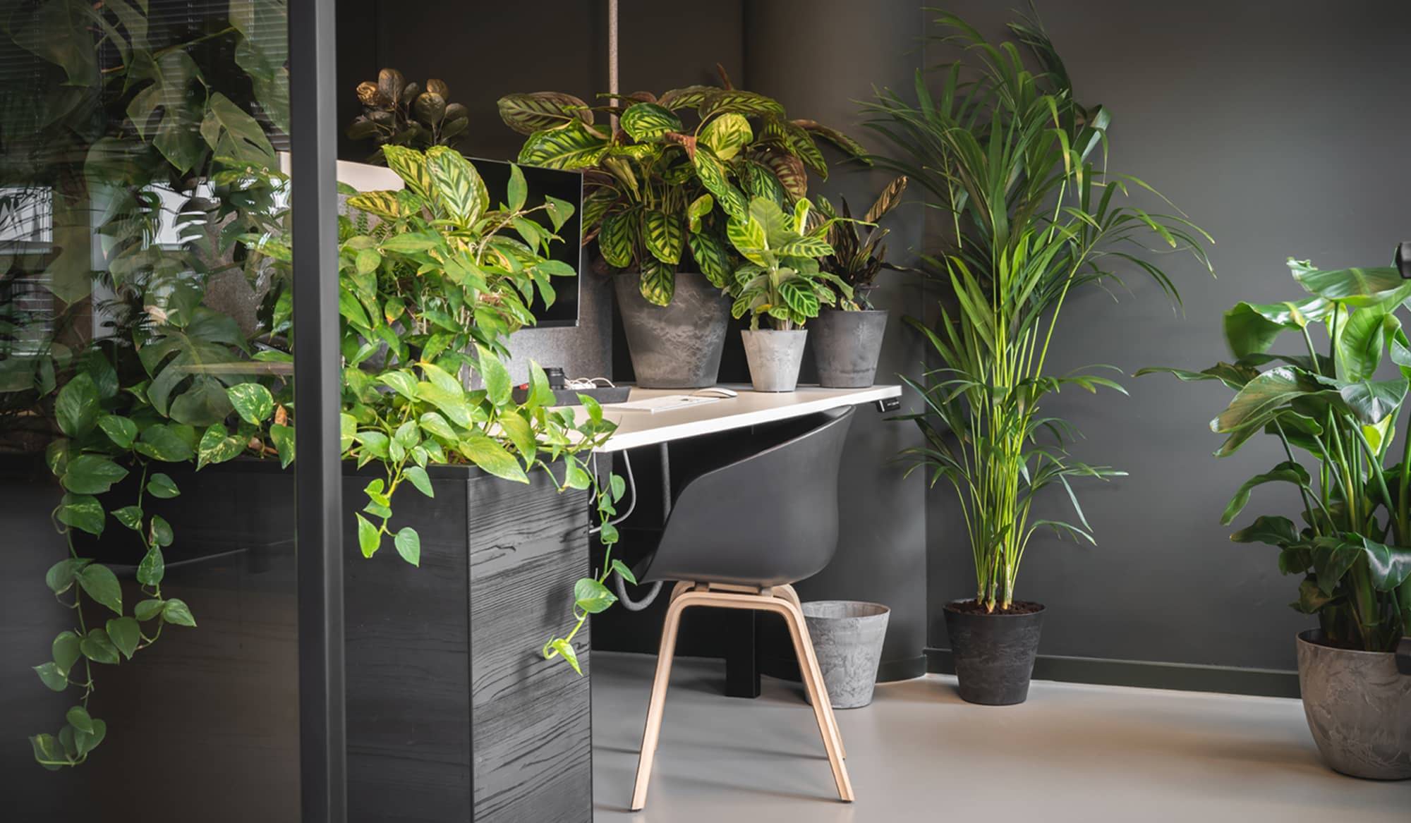 Modern computer desk area with plants in various sizes and colors of Artstone self-watering planters.