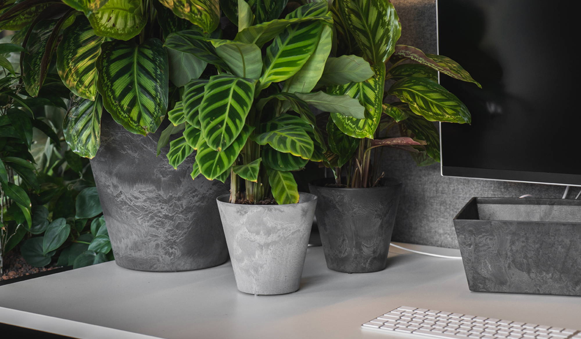 Several planters next to a computer on an office desk